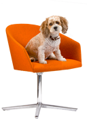 Our mascot, Duffy